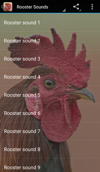 Image 0 for Rooster Sounds