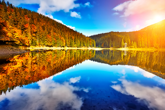 Image 0 for Photo Reflection-Water Ef…