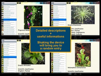 Image 2 for Carnivorous Plants Encycl…
