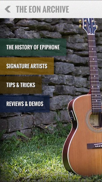 Imagen 1 para Epiphone EON
