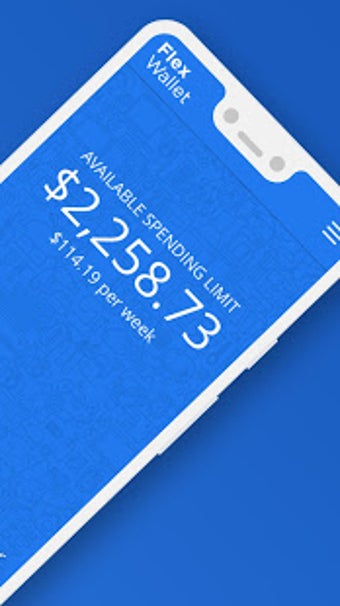 Imagen 3 para FlexWallet