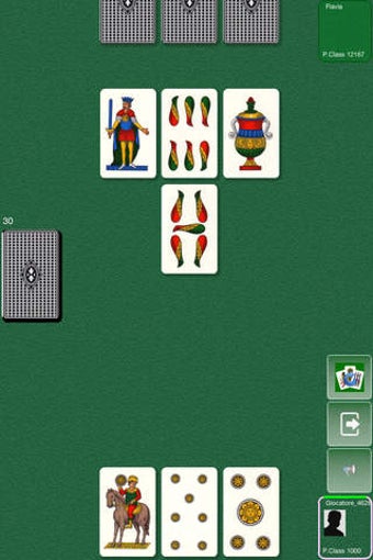 Image 0 for Scopa Treagles