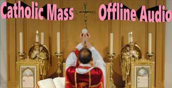 Imagen 2 para Catholic Mass (Offline Au…