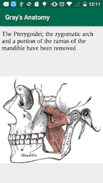 Image 3 for Gray's Anatomy - Atlas ||…