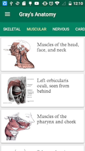 Image 0 for Gray's Anatomy - Atlas ||…