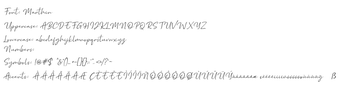 Imagen 0 para Marthin
