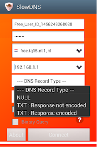 Image 1 for VPN Over DNS  Tunnel : Sl…