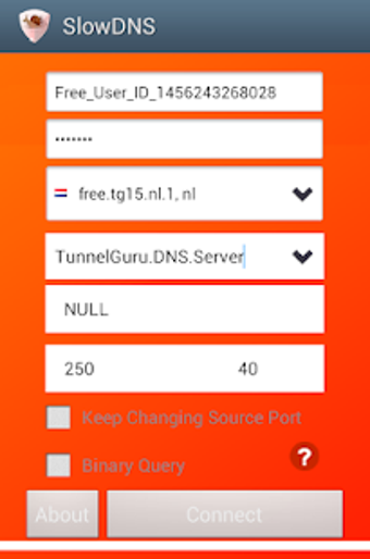 Image 2 for VPN Over DNS  Tunnel : Sl…