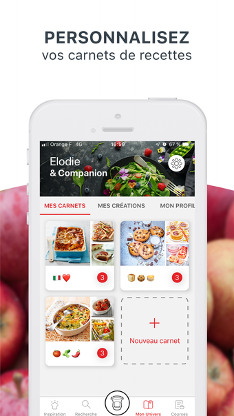 Imagen 0 para Companion de Moulinex