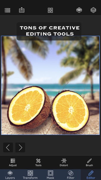 Image 1 for Superimpose X