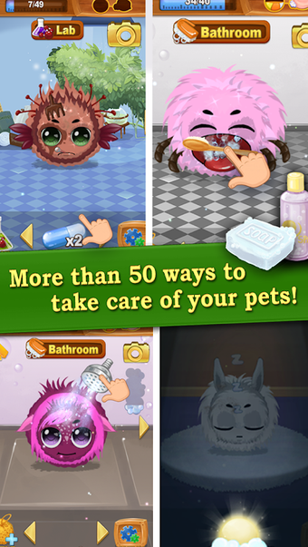 Image 8 for Kuri Pets
