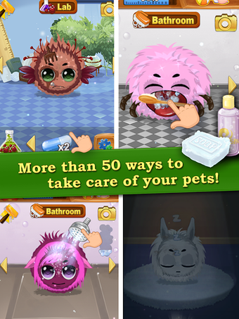 Image 4 for Kuri Pets