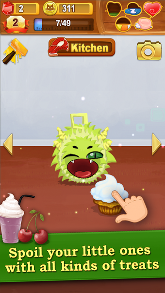 Image 6 for Kuri Pets