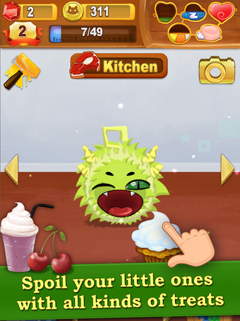 Image 3 for Kuri Pets
