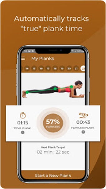 Image 1 for Flawless Plank: A.I. Work…