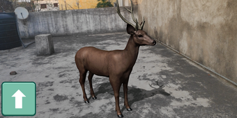 Image 0 for AR Real Animals - Augment…