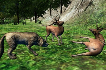 Image 0 for WOLF LIFE - THE ULTIMATE …
