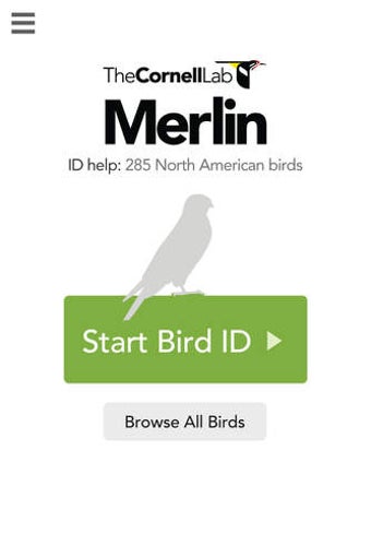 Image 0 for Merlin Bird ID by Cornell…