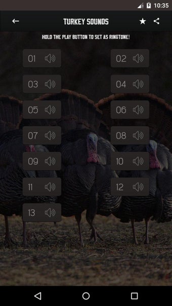 Image 0 for Turkey Calling & Turkey S…