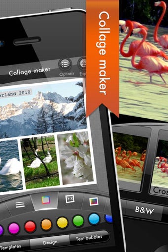 Image 1 for Photogene2