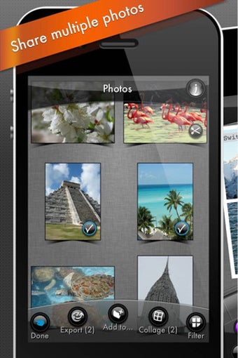 Image 3 for Photogene2