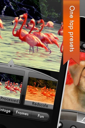 Image 2 for Photogene2
