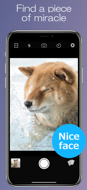Image 2 for Photo++ !