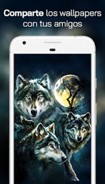Image 0 for Lobo Fondos de Pantalla