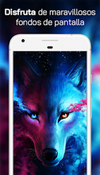 Image 3 for Lobo Fondos de Pantalla