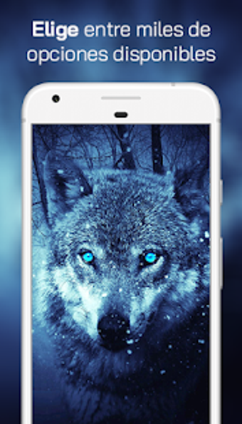 Image 1 for Lobo Fondos de Pantalla