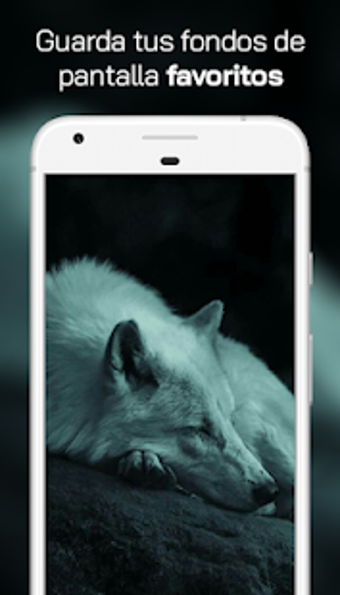 Image 2 for Lobo Fondos de Pantalla