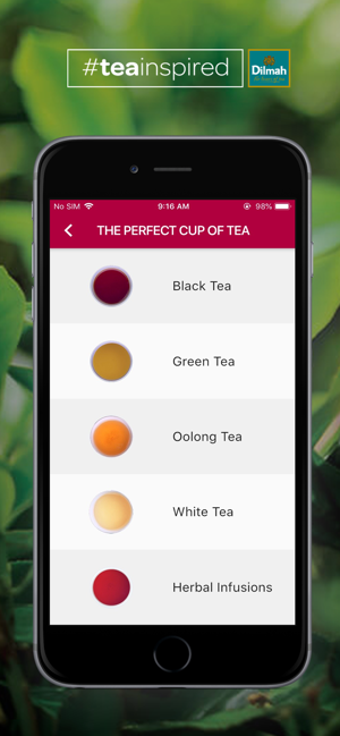Image 3 for Dilmah Tea Inspired