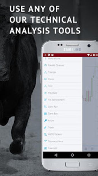 Imagen 2 para Trading4Pro Forex Charts