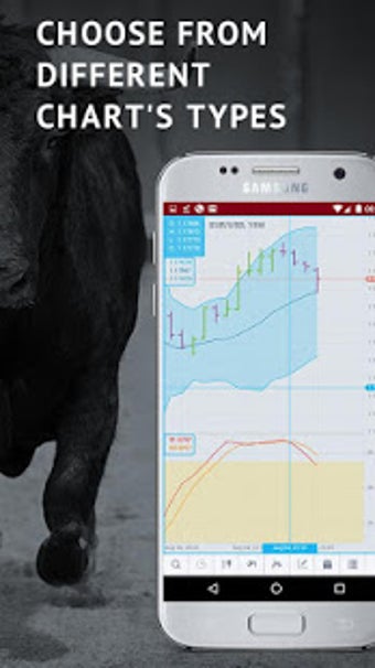 Imagen 1 para Trading4Pro Forex Charts