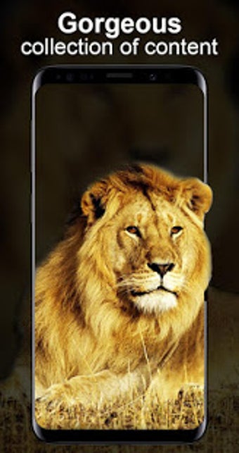 Image 2 for Live Wallpapers Unlimited