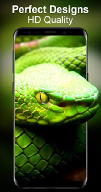 Image 2 for Live Wallpapers Unlimited