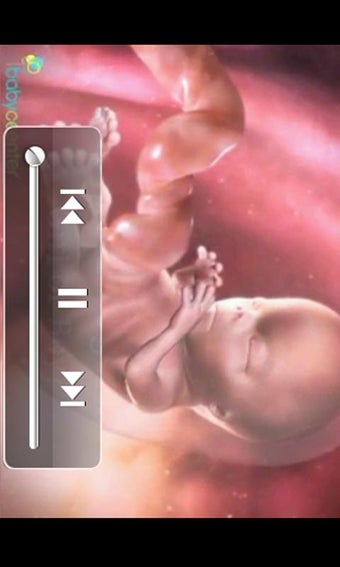 Imagen 3 para Pregnancy Tracker & Count…