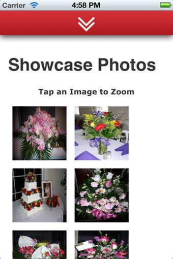 Imagen 6 para Cary's Designs Floral