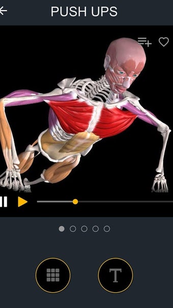 Image 3 for Muscle and Motion Strengt…