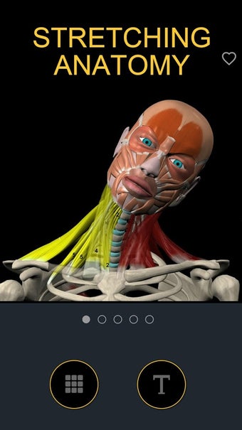 Image 3 for Muscle and Motion Strengt…