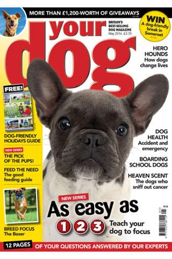 Image 0 for Your Dog Britains best-se…
