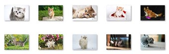 Imagen 0 para Supercute Kittens Windows…