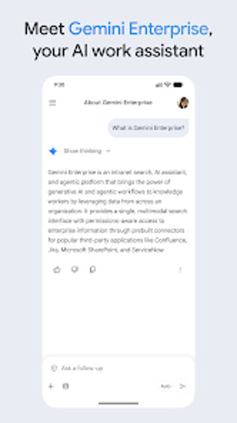 Image 0 for Google Gemini Enterprise