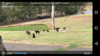 Image 1 for Video Downloader