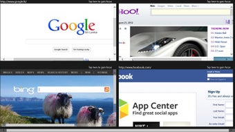 Image 1 for 4Browsers
