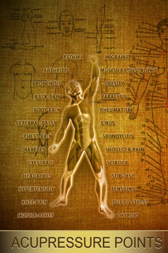 Image 0 for AcuPressure: Visually Int…