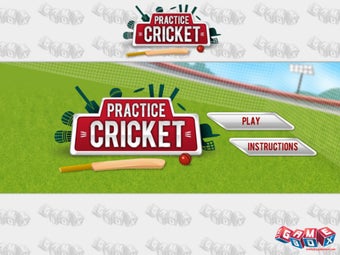 Image 0 for Practice Cricket