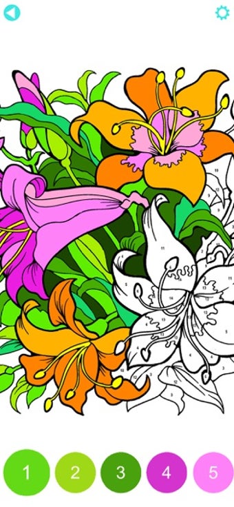 Image 1 for Paint by Number