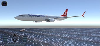 Image 3 for Flight 737 - Maximum