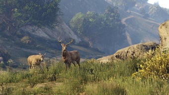 Image 0 for Grand Theft Auto V